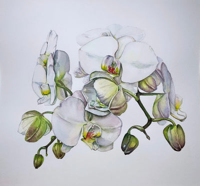 White Orchids #3