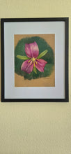 Load image into Gallery viewer, Trillium