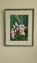 Load image into Gallery viewer, Shell Ginger