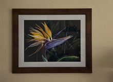 Load image into Gallery viewer, Bird of Paradise