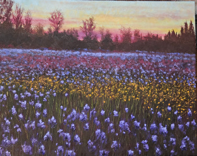Fields of Flowers
