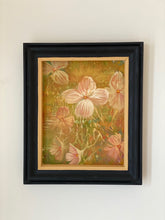 Load image into Gallery viewer, More beautiful than anyone, Her smile radiates with warmth and love, And her pale petals glisten in the sun.