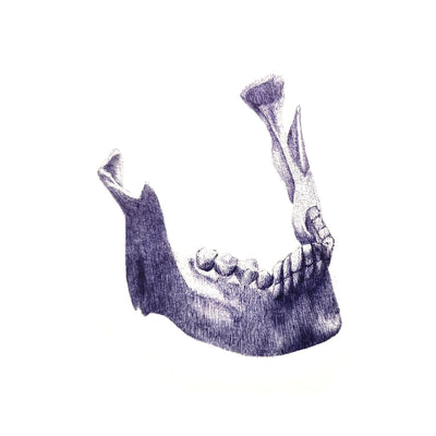 Jawbone