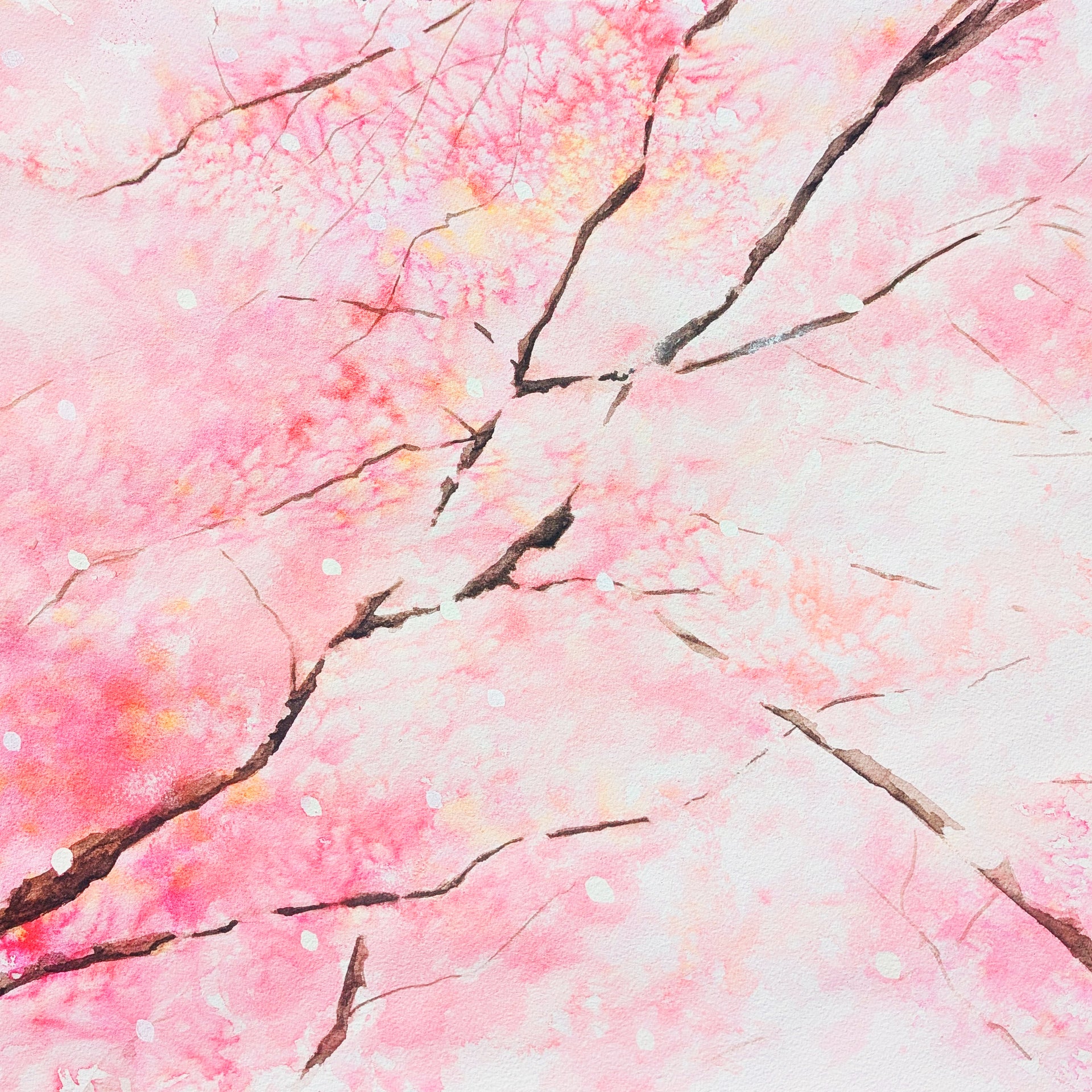 Junko Otsuki