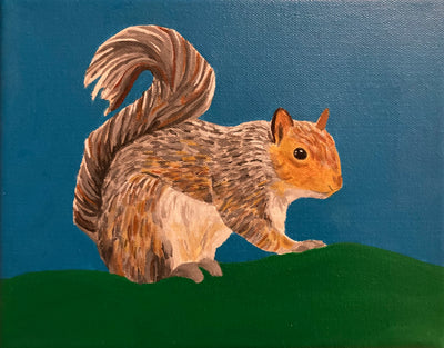 A Friendly Squirrel