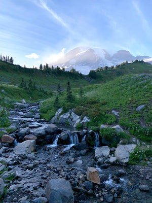 Meadow Creek Beneath Mount Rainier