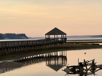 Dusk Boardwalk Reflections