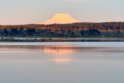 Golden Stillness — Mount Rainier Reflection