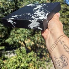 Load image into Gallery viewer, IMG_2677-1757935657187.jpeg