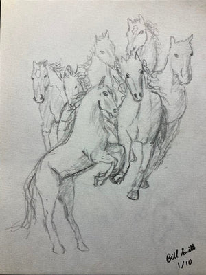 Horses 5