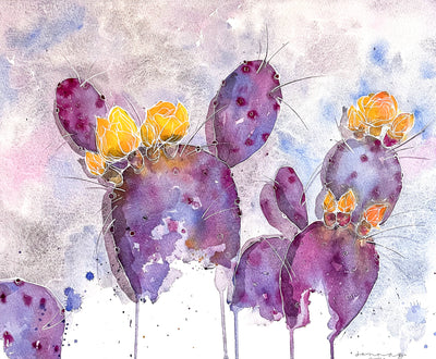 Purple Cactus Blossom