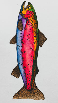 Candy Rainbow Trout