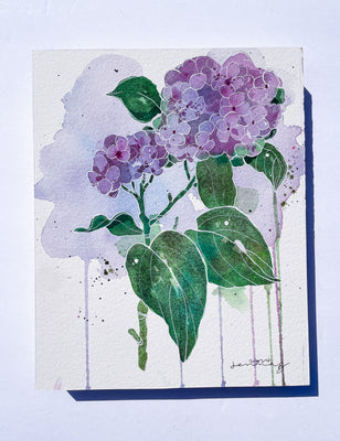 Lavender Hydrangea