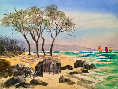 Surf Sailing Maui