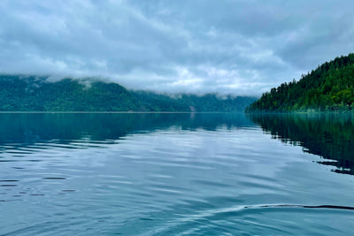 Misty Morning at Lake Crescent