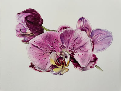 Purple Orchid Fragment