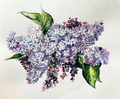 Lilac Fragment #2
