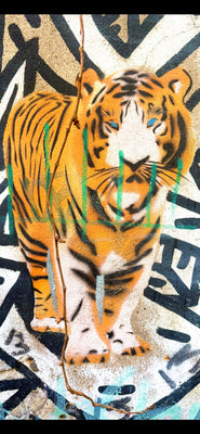 Lion Graffiti