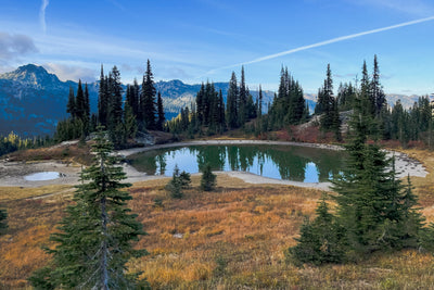Shallow Alpine Lake with Autumn Colors in Mount Rainier
