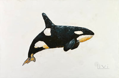 Killer whale