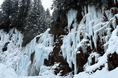 Frozen Waterfall Cliffs in Winter Forest