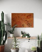 Load image into Gallery viewer, IMG_9260-1757968587632.jpeg