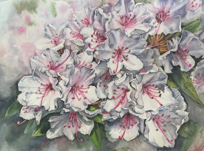White Azalea