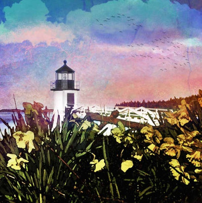 Marshall Point: Light in Bloom