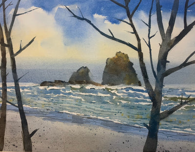 Morning at Copalis Rocks