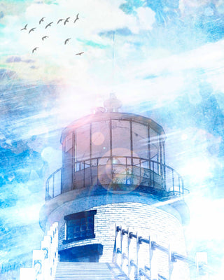 Owl’s Head: Where Light Meets Wing