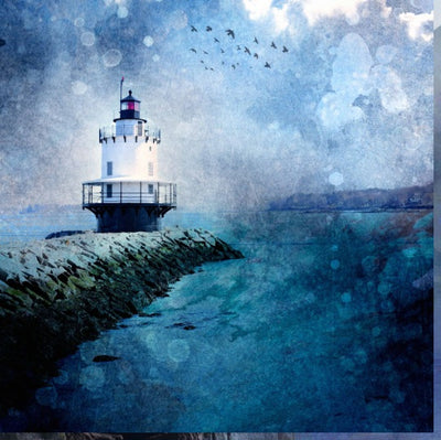 Spring Point Ledge: Guardians of the Shore