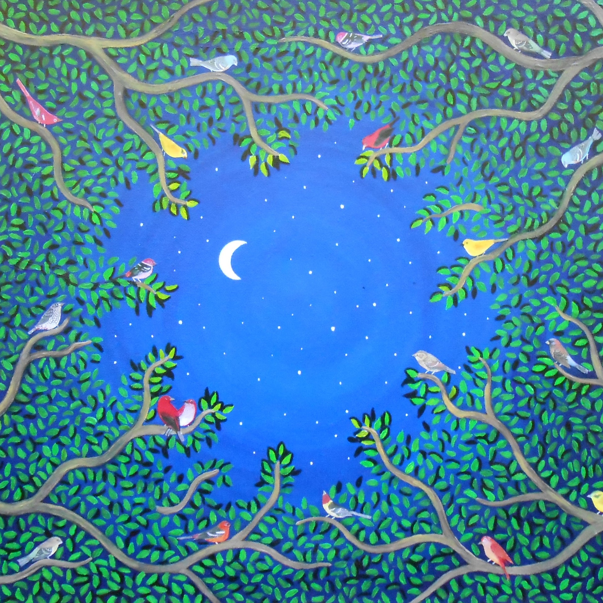 Lynne Alexander