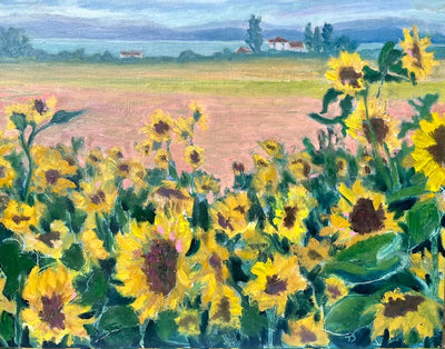 Sunflower Field, Whidbey