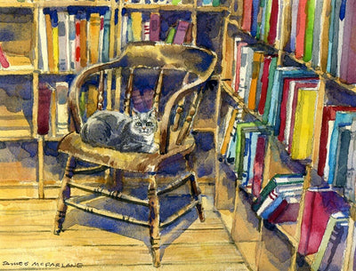 Book Store Cat