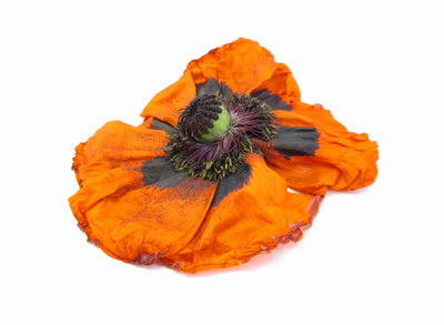 Orange Poppy