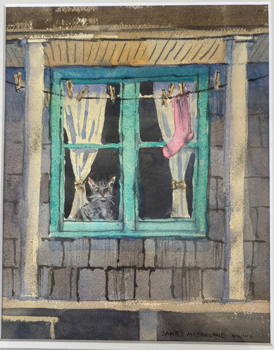Cat in Window