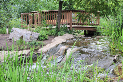 Lake Under Bridge