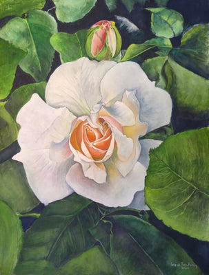 White Rose #2