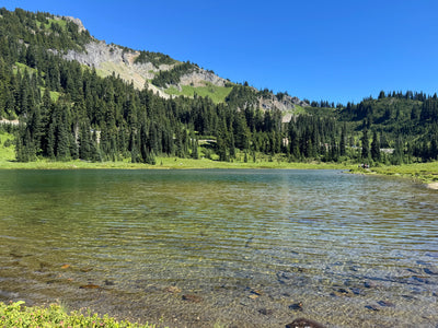 Tipsoo Lake in Summer Afternoon