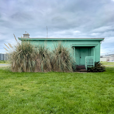 Green House Green Grass
