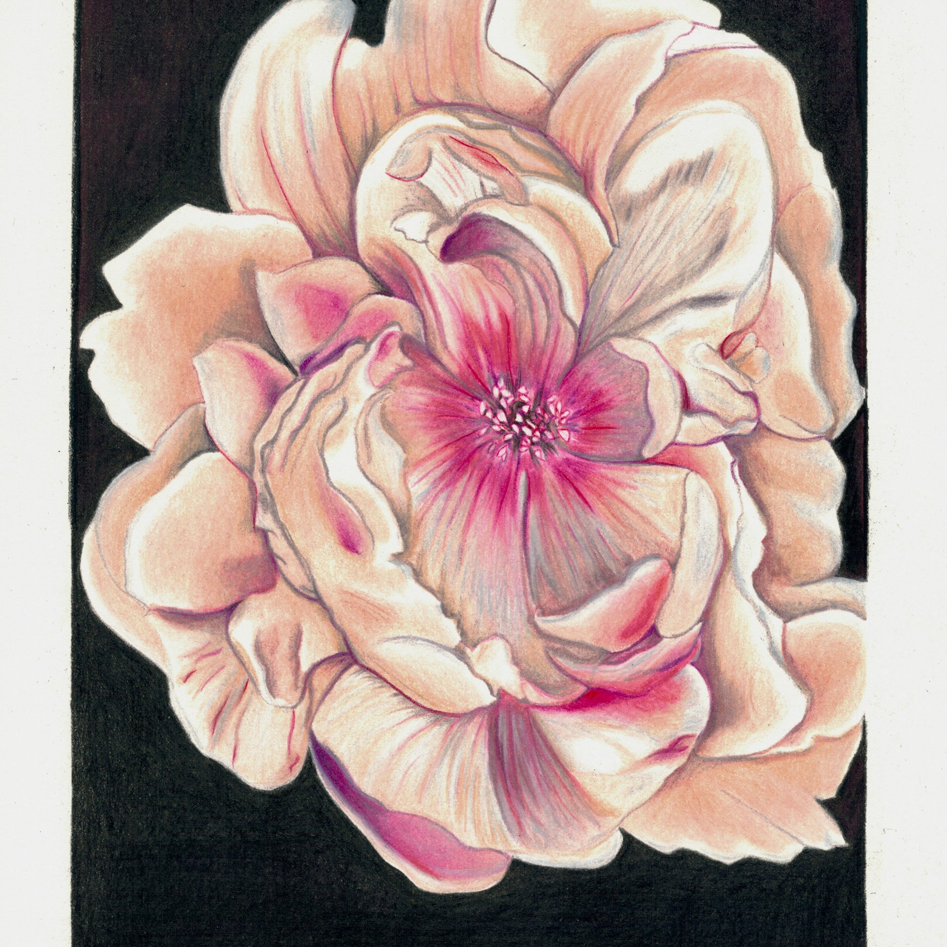 New Artwork