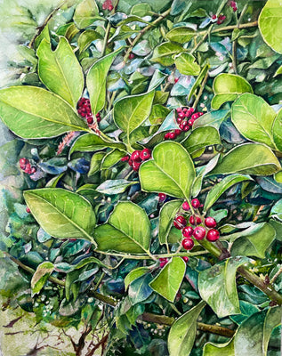 Holly