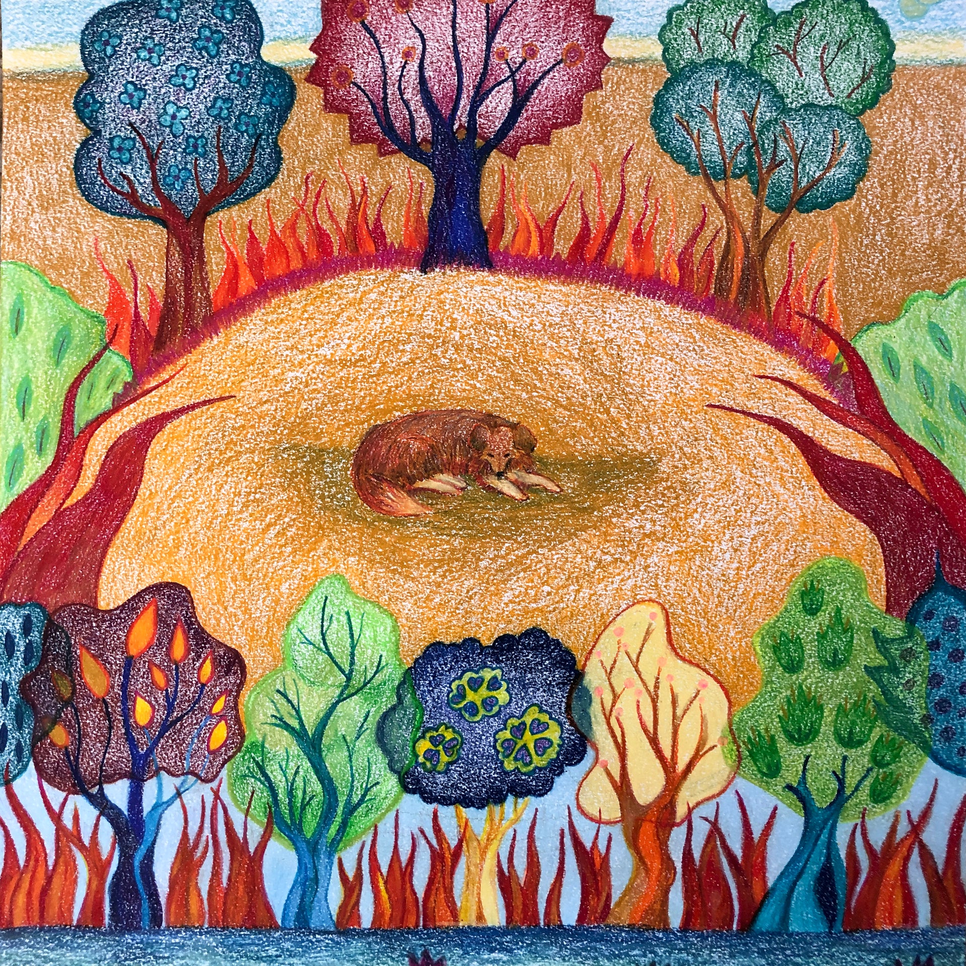 Susan J Christensen