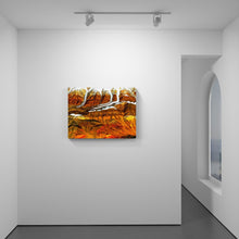 Load image into Gallery viewer, Davos