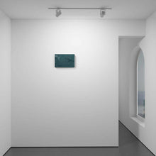 Load image into Gallery viewer, Dusky Dolphins