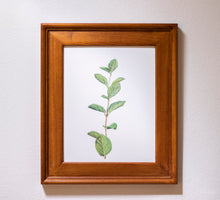 Load image into Gallery viewer, Spring Leaves II