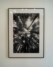 Load image into Gallery viewer, Mist