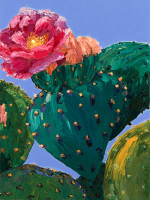 It Looks  A Lot Like Spring. Part 2