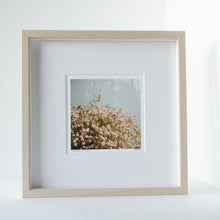 Load image into Gallery viewer, Dichotomy