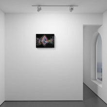 Load image into Gallery viewer, Roe Rage